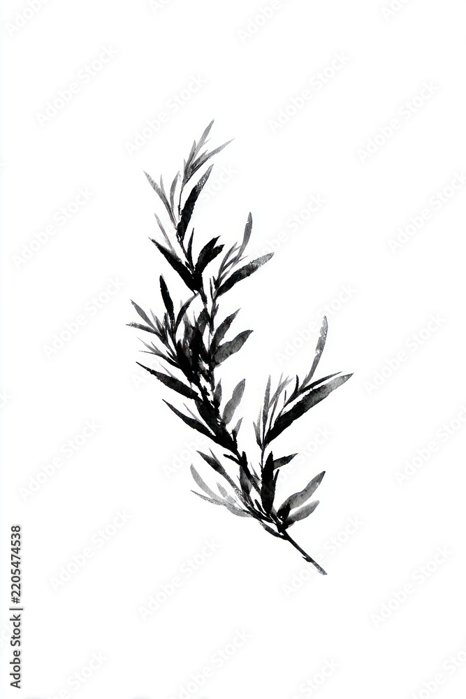Obraz premium Minimalist black and white watercolor painting of a leafy branch.