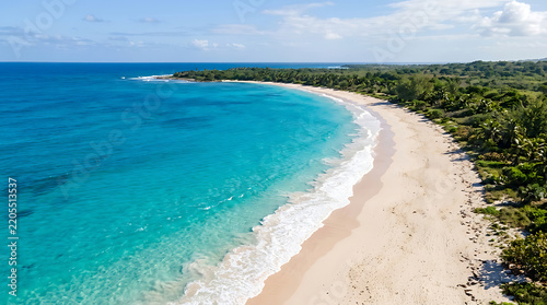 Aerial view of tropical coastline with white sandy beach and palm trees