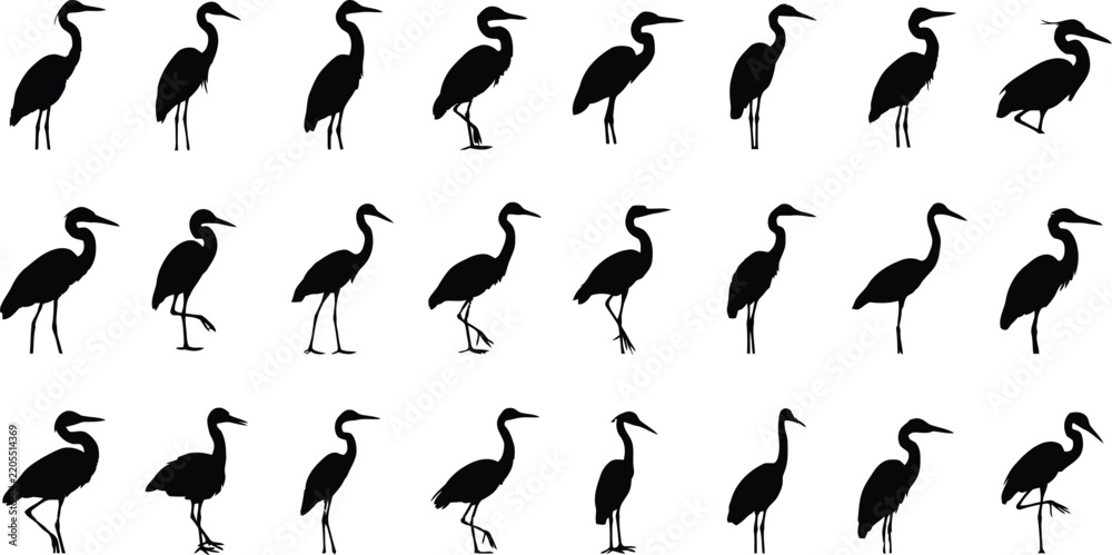 Obraz premium Stork and heron silhouettes in various poses including standing and walking on transparent backdrop.