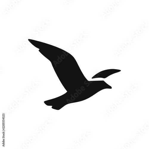 Black Seagull In Soaring Flight Sky Silhouette