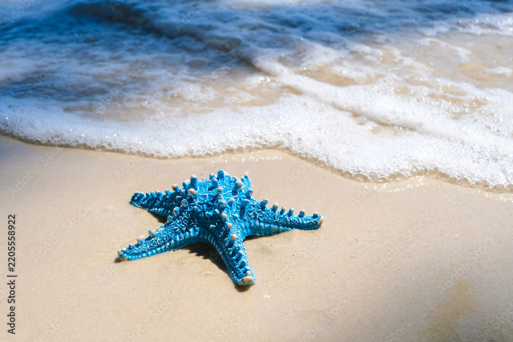 Naklejka premium A vibrant blue starfish resting on a sandy beach with gentle ocean waves washing ashore, representing tropical vacations, marine life, summer, and nature eco system