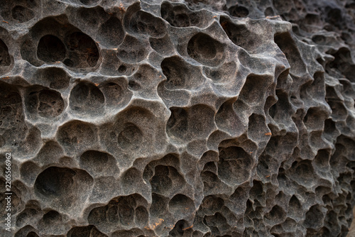 The surface of tafoni rock shaped by sea wind, salt, and weathering reveals a honeycomb-like pattern of cavities and pits, forming a unique abstract texture that showcases nature's sculpting artistry.