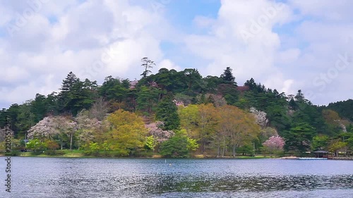 4K Tranquil Lake Surrounded by Lush Green Trees and Spring Blossoms with Reflections on Calm Water