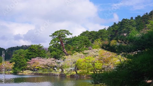 4K Tranquil Lake Surrounded by Lush Green Trees and Spring Blossoms with Reflections on Calm Water