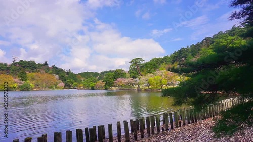 4K Tranquil Lake Surrounded by Lush Green Trees and Spring Blossoms with Reflections on Calm Water