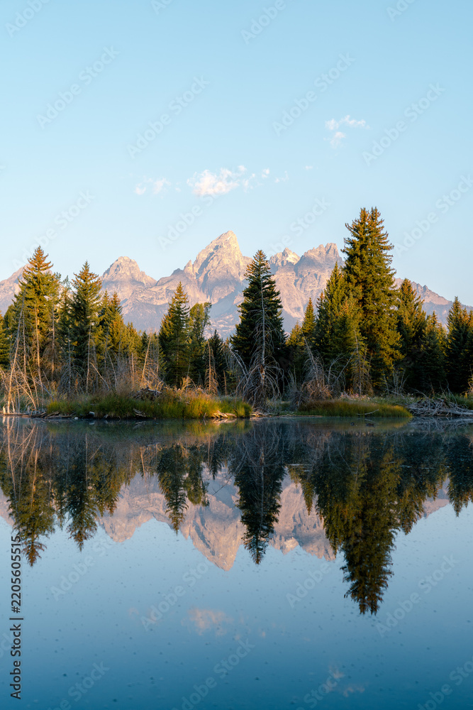 Fototapeta premium Schwabacher Landing Reflection of the Tetons and Spruce
