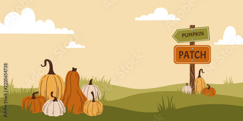 Pumpkin patch farm festival vector illustration. Hand drawn autumn colors Harvest and Thanksgiving day concept banner. Wooden pumpkin patch sign board wallpaper