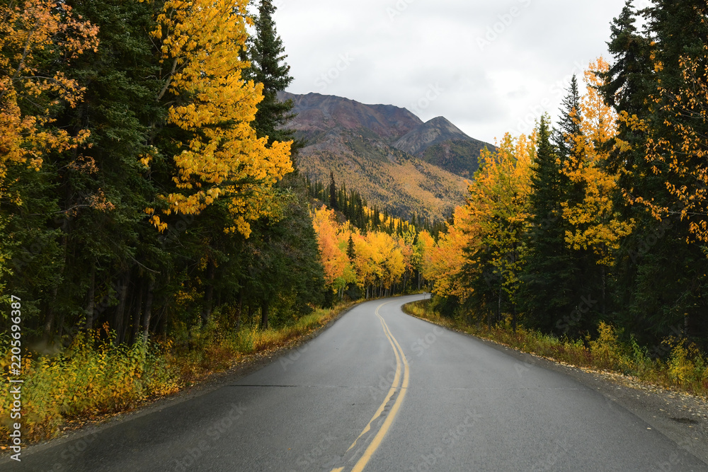 Obraz premium Fall colors along Park Road in Denali National Park, Alaska.