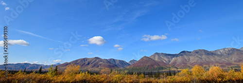 Autumn colors in Denali National Park, Alaska.