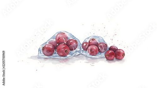 Watercolor painting of vibrant red berries frozen inside clear ice cubes with subtle paint splashes, created with generative ai.