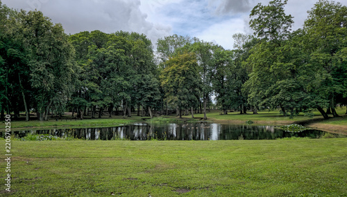 Tranquil Reflection in a Verdant Park