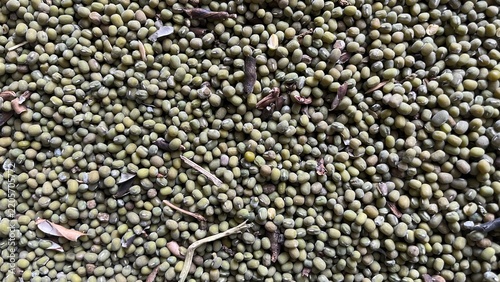 Top View Raw Mung Beans with Pod Shells Texture