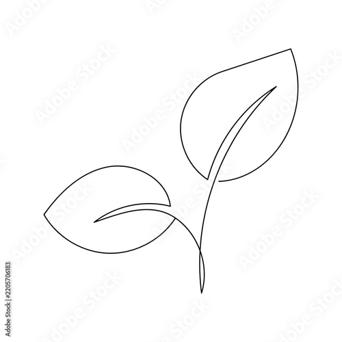 hand drawn green leaf
