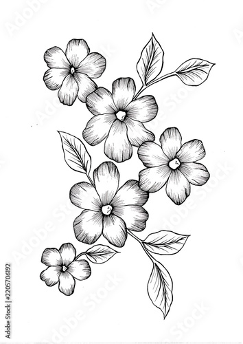 vector floral background