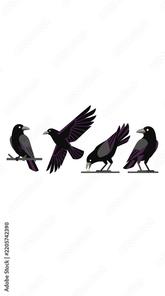 Obraz premium Set of four black and purple crows shown perched flying pecking and standing