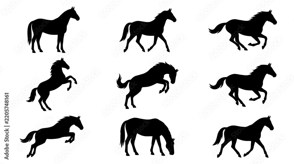 Fototapeta premium Horse Silhouettes Set - Vector Animal Illustrations