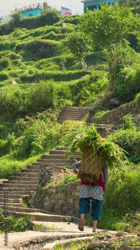 Woman carrying grass basket walking up stone stairs in Gopeshwar Chamoli Uttarakhand rural landscape