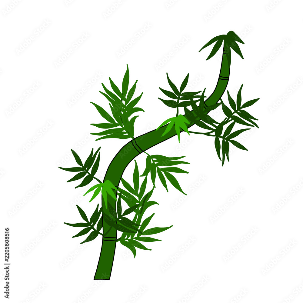 Fototapeta premium Green Bamboo Branch with Leaves Vector Illustration Isolated on Black Background 