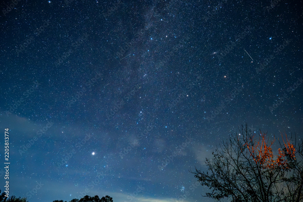 Fototapeta premium Star filled night sky with the Milky Way and meteor streaks above a dark tree line. Useful for astronomy and stargazing imagery