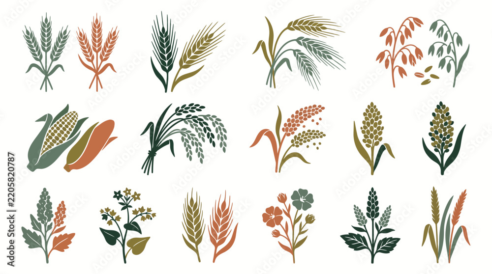 Fototapeta premium Agricultural grain and cereal crops icon set showing various types of grains, cereals and agricultural plants, concept for organic food production and sustainable agriculture