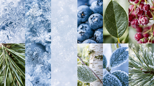 A collage of images representing the four seasons: ice and snow for winter, green leaves and blueberries for summer, birch bark for autumn, and pine needles for spring