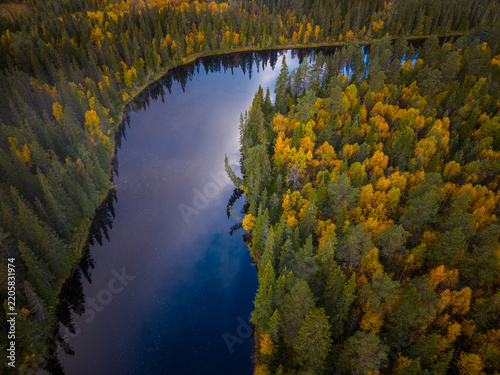 Aerial view of River Ljusnan winding through a dense forest with vibrant autumn foliage and evergreen trees in Funasdalen, Jamtland County, Sweden.