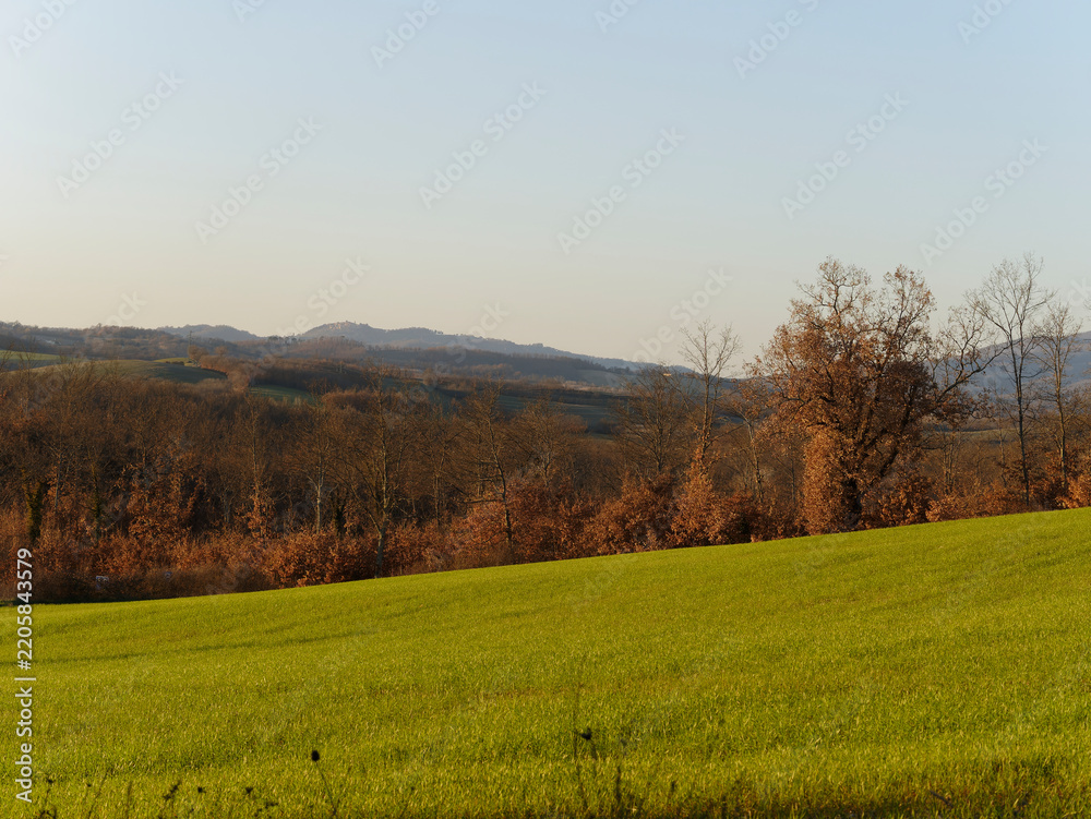 Fototapeta premium beautiful view of the countryside around siena in tuscany