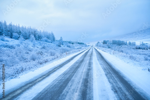Straight icy snow-covered road with tire tracks through frozen pine forest in Iceland winter. Scenic arctic highway road trip and hazardous driving condition.