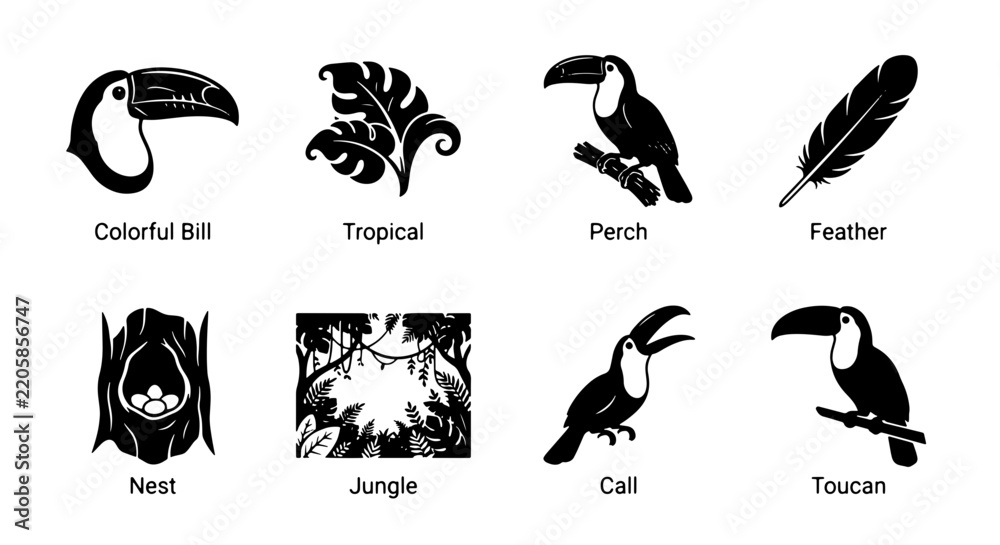 Obraz premium Black toucan bird vector icons set, tropical jungle wildlife elements graphic collection, isolated nature silhouettes for logo design