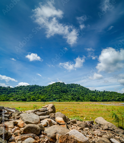 Scenic green grass field under a vibrant blue sky with white clouds
