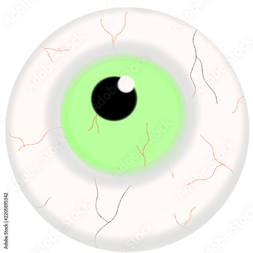 Vector illustration of a cartoon eye with green iris and black pupil on transparent background