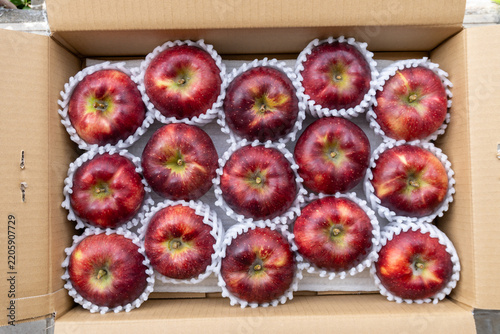 Dark Red Akibae Apples Neatly Arranged in Open Delivery Box, Japan