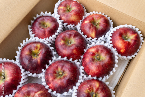Dark Red Akibae Apples Neatly Arranged in Open Delivery Box, Japan
