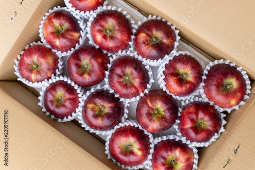 Dark Red Akibae Apples Neatly Arranged in Open Delivery Box, Japan