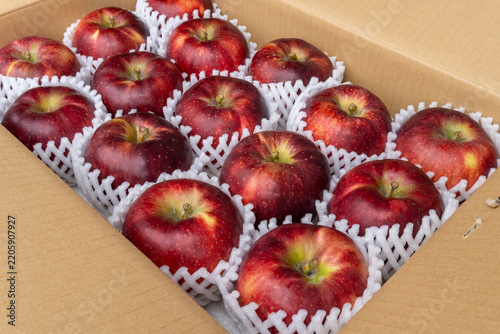 Dark Red Akibae Apples Neatly Arranged in Open Delivery Box, Japan
