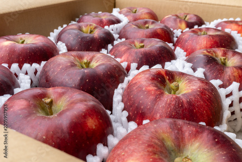 Dark Red Akibae Apples Neatly Arranged in Open Delivery Box, Japan