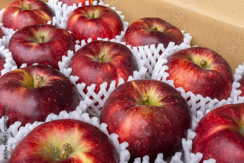 Dark Red Akibae Apples Neatly Arranged in Open Delivery Box, Japan