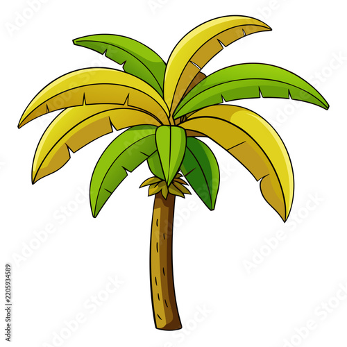tropical palm tree