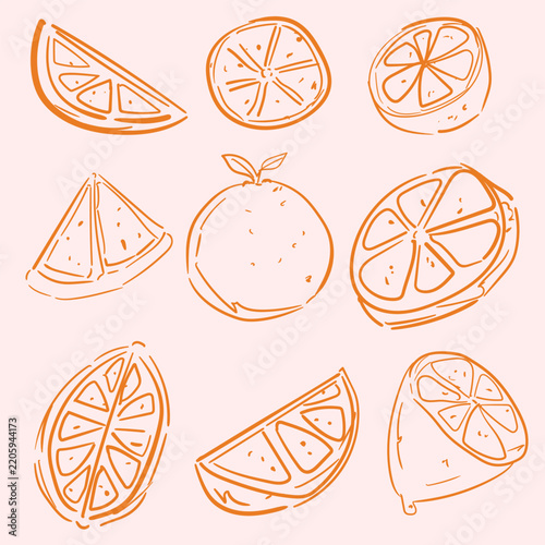 Hand Drawn Orange Fruit Set Featuring Fresh Citrus Slices Half Cut Wedges and Peels Doodle Clipart