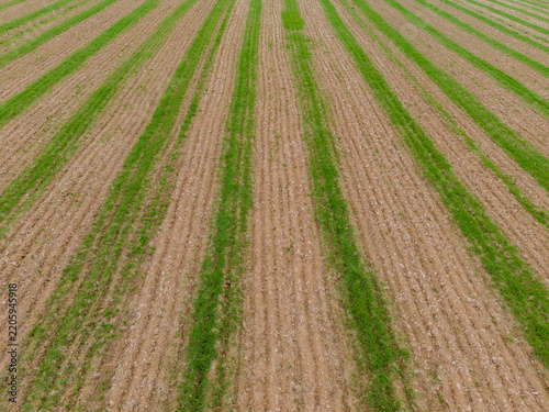 Aerial view of agricultural farmland with alternating rows of green crops and tilled soil in Looe, Cornwall, United Kingdom.