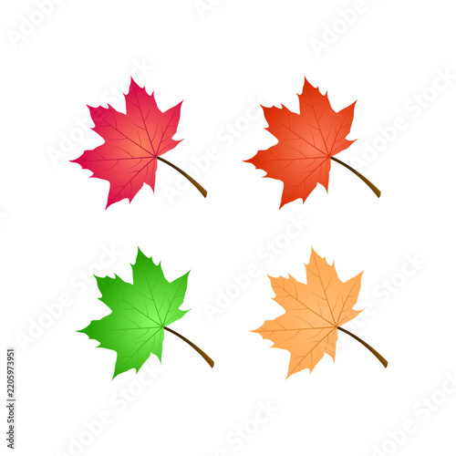 Illustration vector graphic of maple leaves isolated on white.