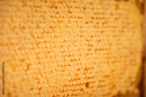 Honeycombs filled with honey, sealed with wax caps, close-up.