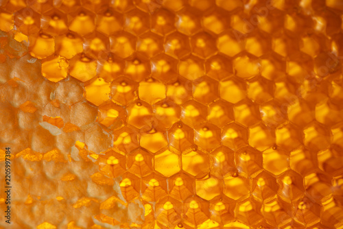 Honeycombs filled with honey, sealed with wax caps, some caps cut off. Close-up of honeycombs filled with honey.