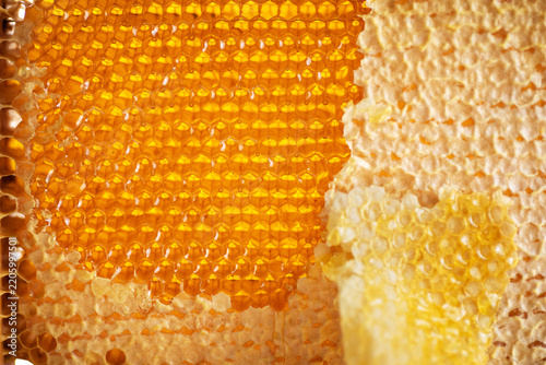 Honeycombs filled with honey, sealed with wax caps, some caps cut off. Close-up of honeycombs filled with honey.