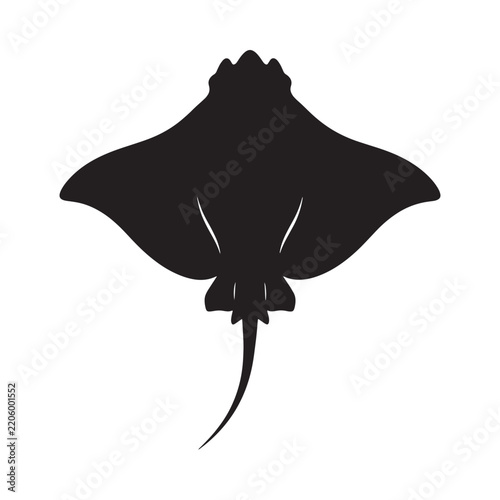 Fotografie Black stingray silhouette on white background fish