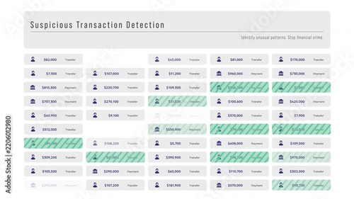 Suspicious Transaction Detection Light Mode with AML Anomaly Analysis