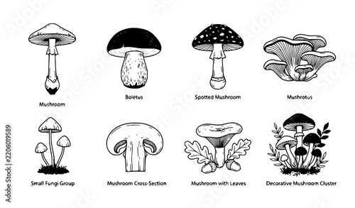 Botanical Mushroom Clipart and Thin Outline Vector Icon Pack