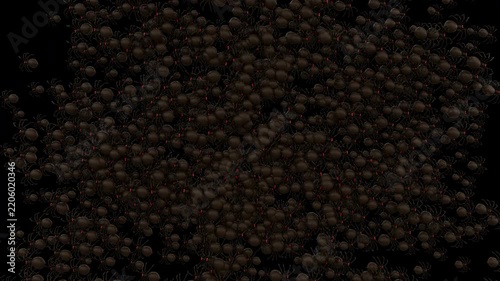 Halloween Horror Creepy Crawl Spider Swarm Two Side Horizontal Transition with Red Glowing Eyes.