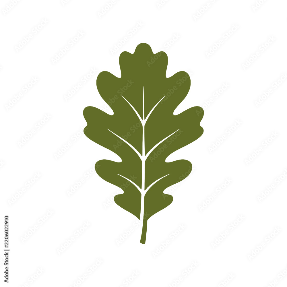 Fototapeta premium Minimalist oak leaf graphic symbol for natural botany and forestry design elements