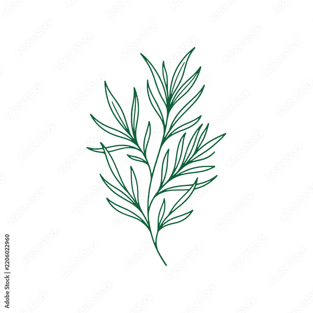 Obraz premium Minimalist herbal branch line art graphic for natural beauty and wellness branding design